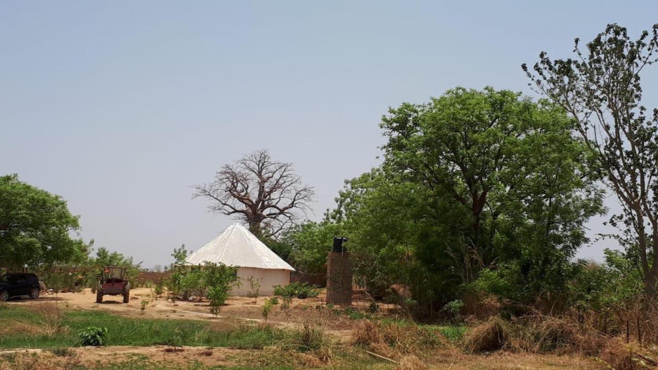 Camping Sitaba Lodge Georgetown Exterior photo
