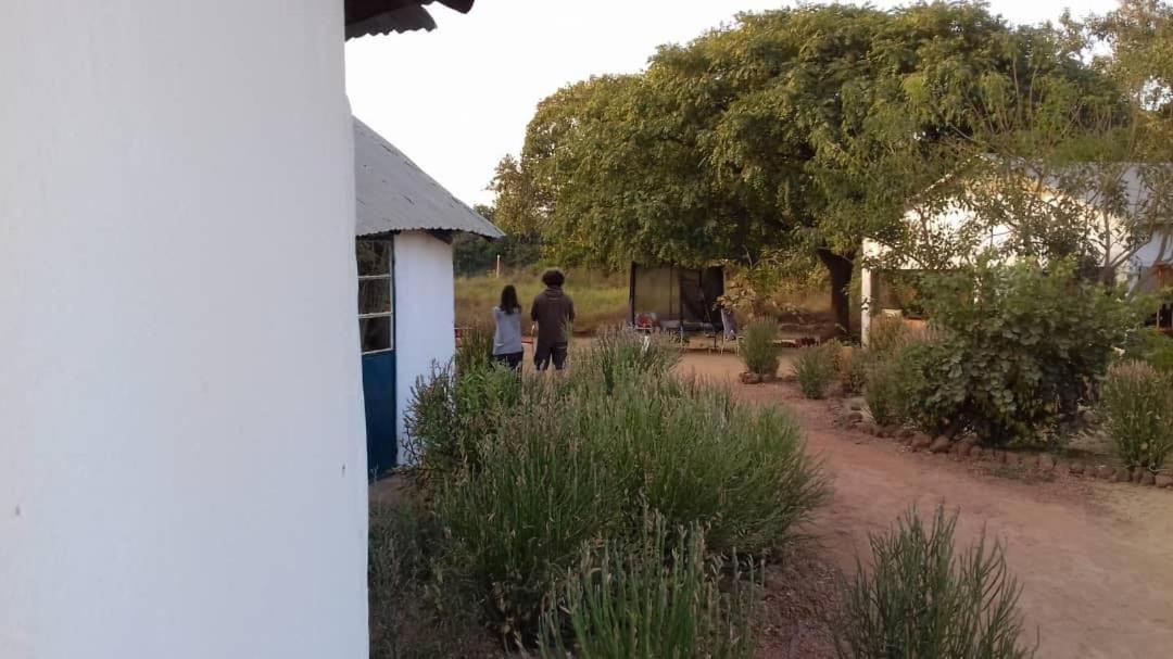 Camping Sitaba Lodge Georgetown Exterior photo